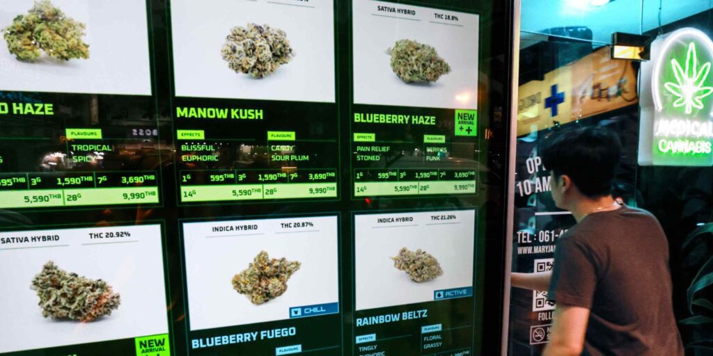 Cannabis Controversy Strains Thailand's Ruling Coalition
