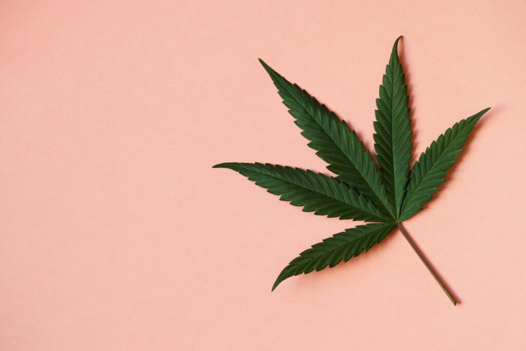 Exploring the Future of Cannabis-Driven Hospitality