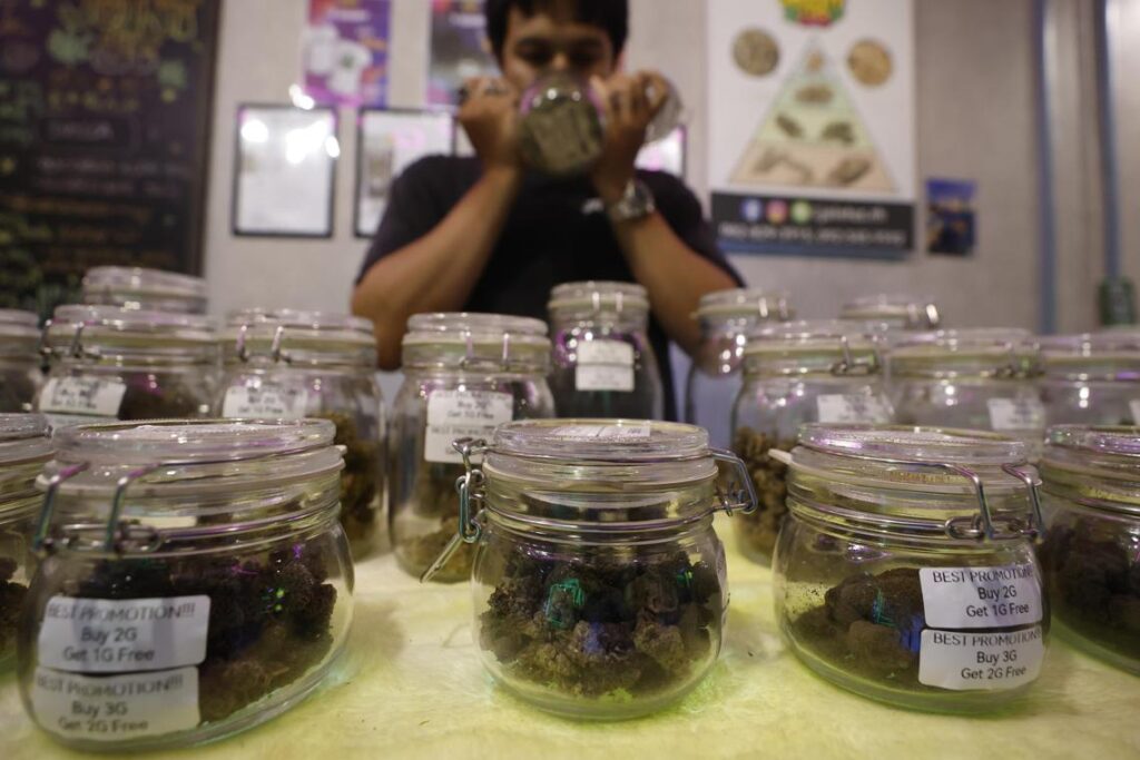 Thailand to Redefine Cannabis Regulations Focused on Buds, Says Public Health Minister