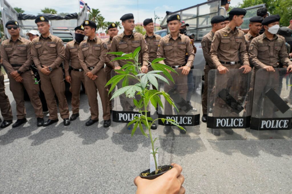 Thailand's Cannabis Advocates Rally Against New Ban Proposal