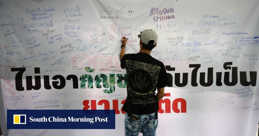 Thailand's Cannabis Entrepreneurs Stand Strong Amid Reclassification