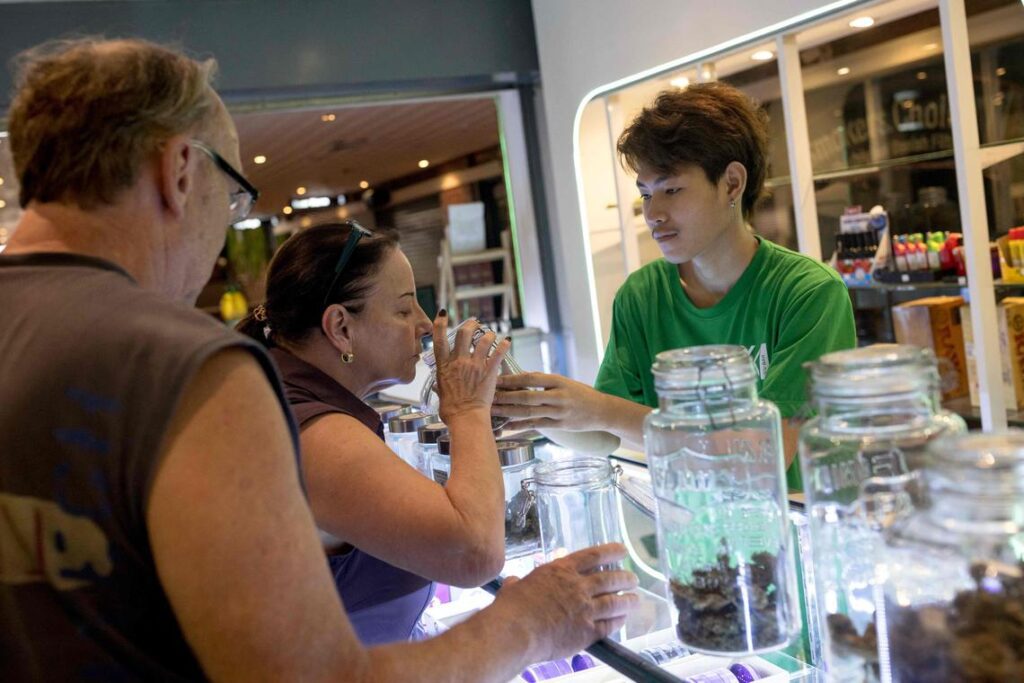 Thailand’s Cannabis Industry Faces Legal Uncertainties
