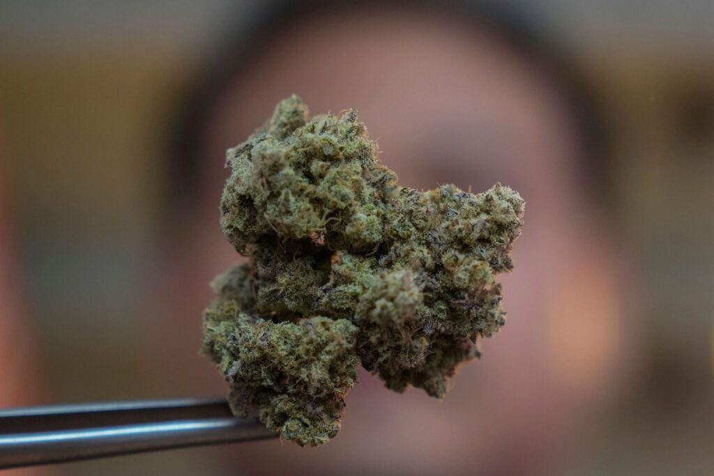 Thailand's PM Seeks Cannabis Ban Two Years After Decriminalization