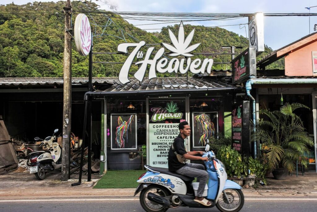 Thailand's Rollercoaster Journey with Marijuana Legalization