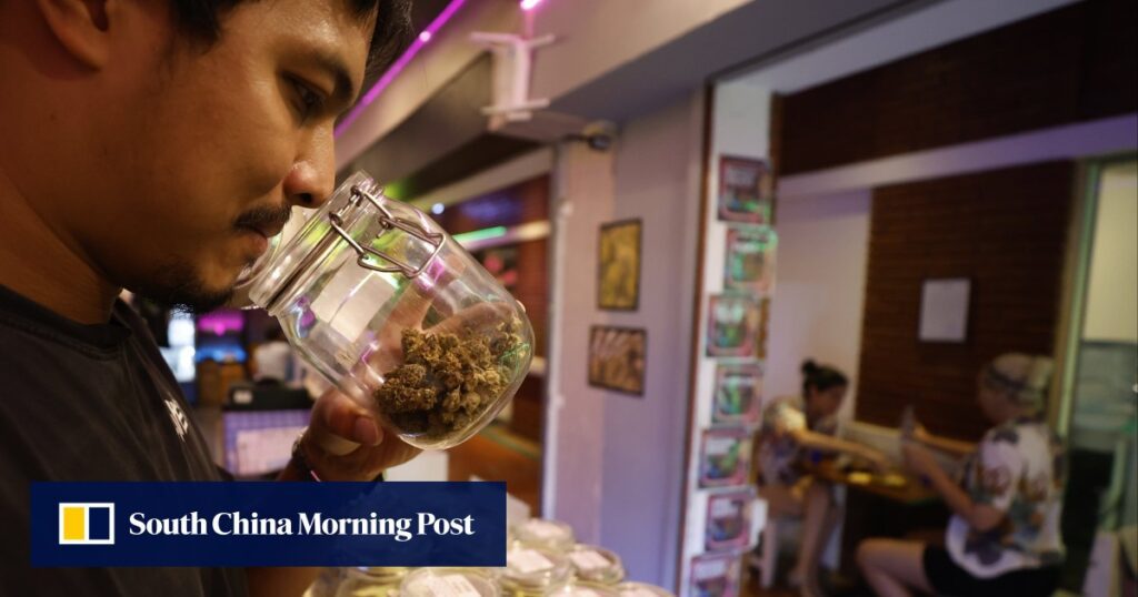 Thailand's Sudden Cannabis Shift Leaves Entrepreneurs Confused