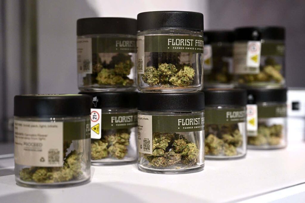 The Evolving Journey of Cannabis Through Time