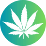 Cannabis.asia (1)
